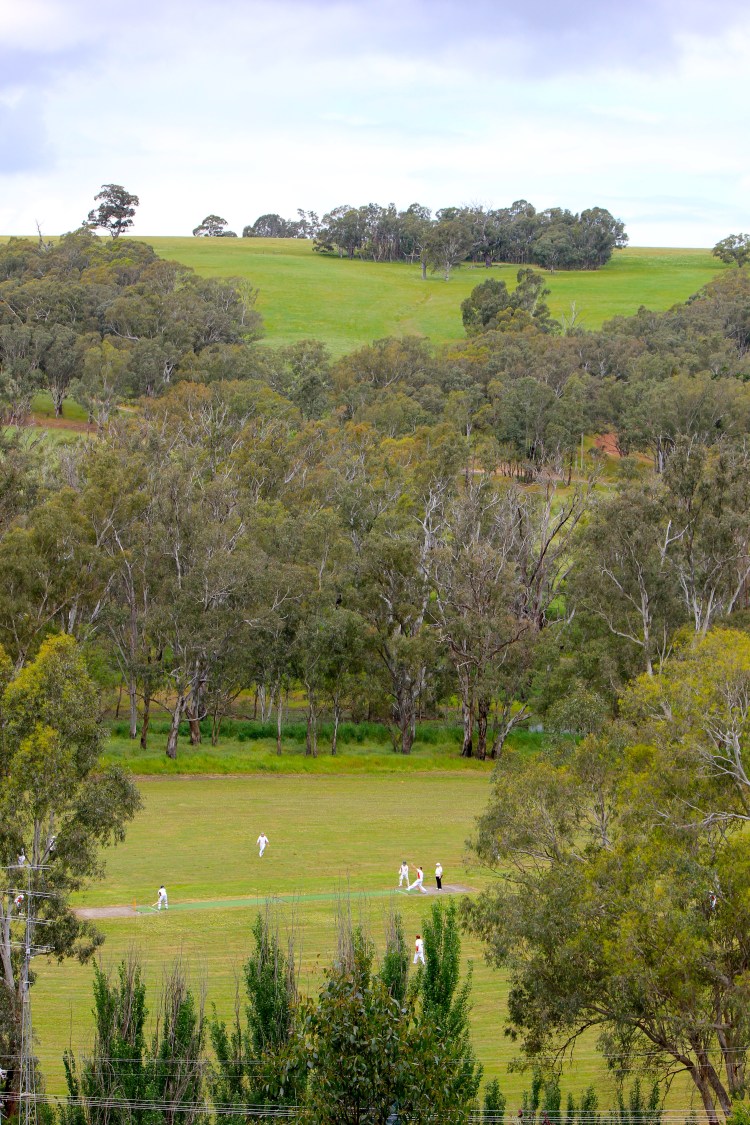 Cricket at Johnny Mullagh Oval, Harrow
