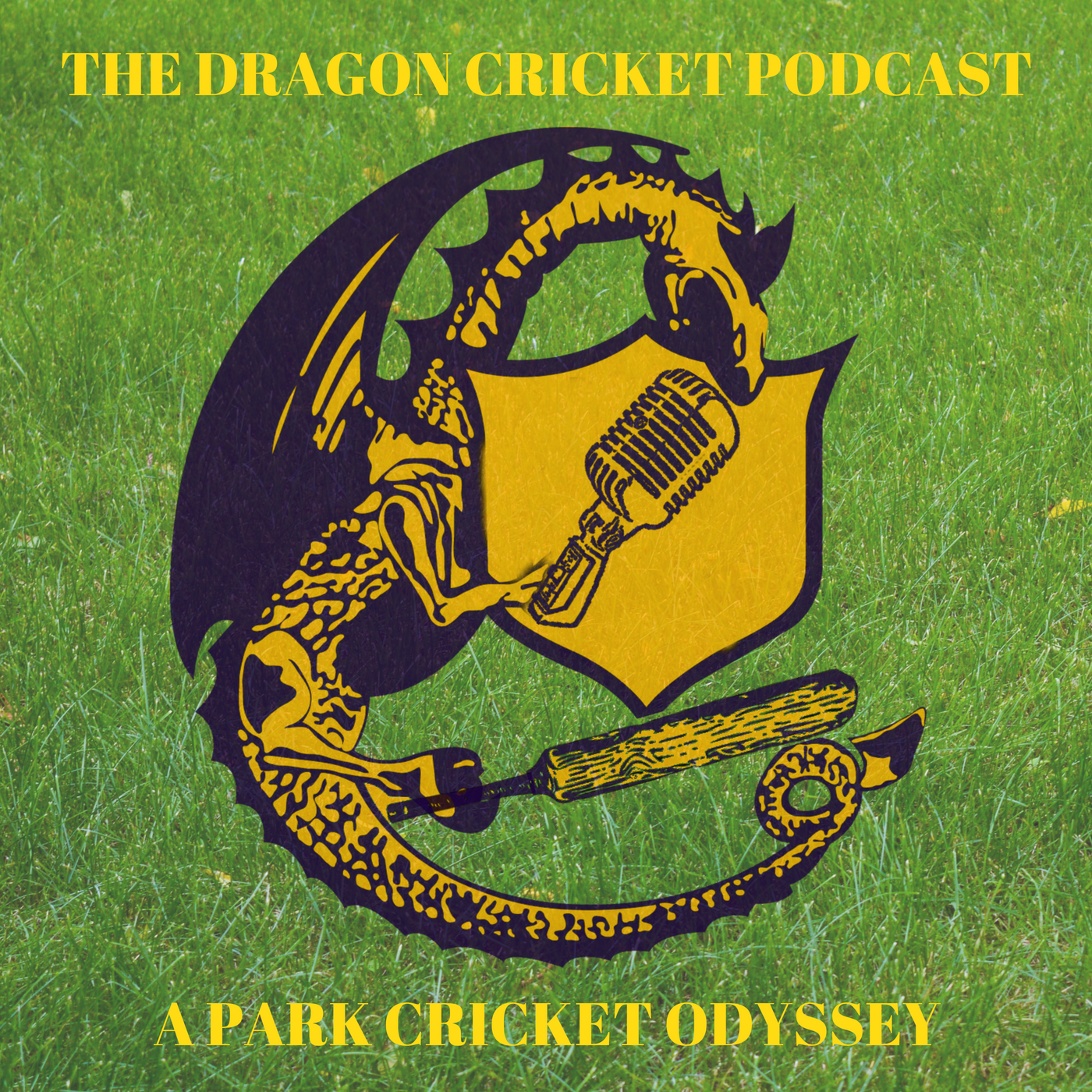 Dragon Cricket Pic Grass